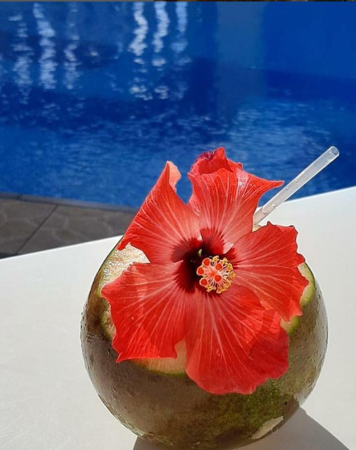 Pousada Florais Do Atlantico Estância 외부 사진